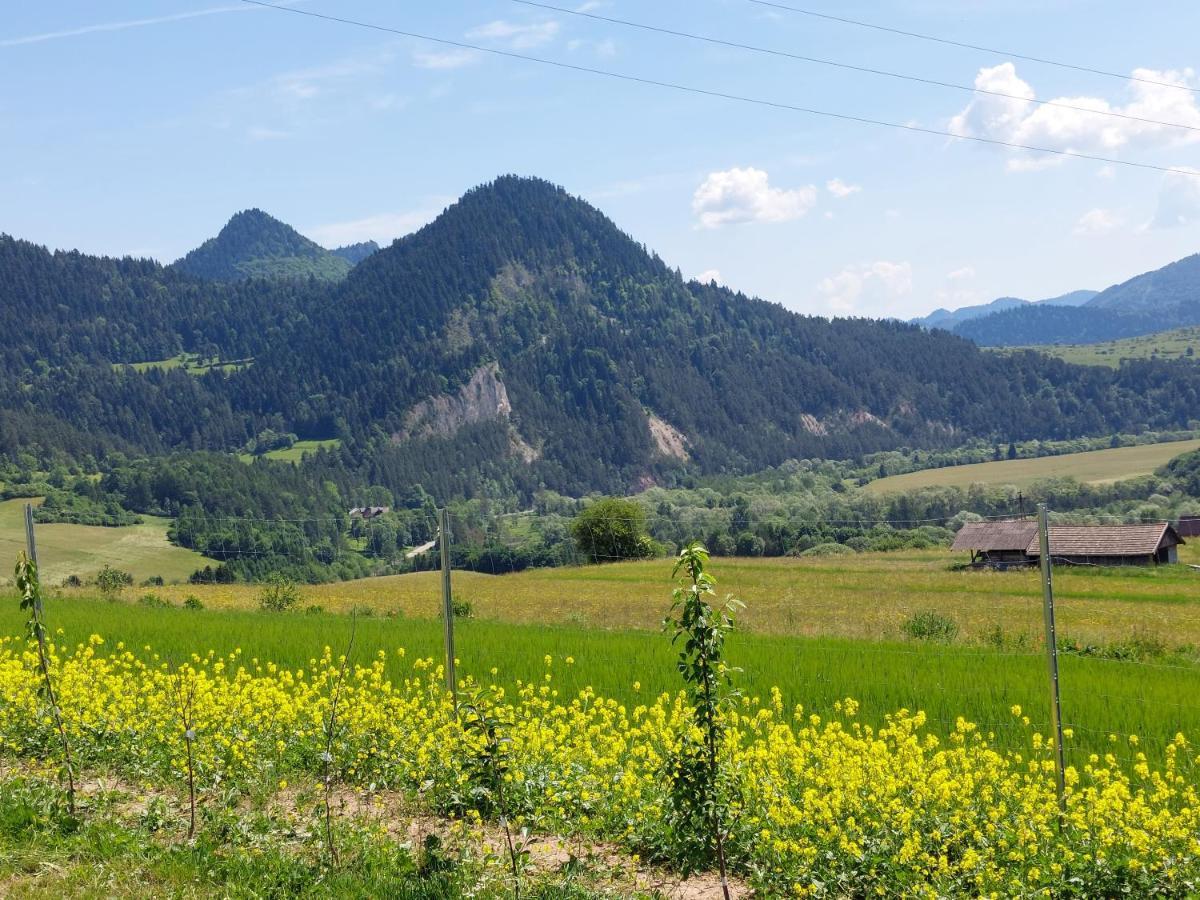 Domek/Apartament Przekop Sromowce Wyzne Esterno foto